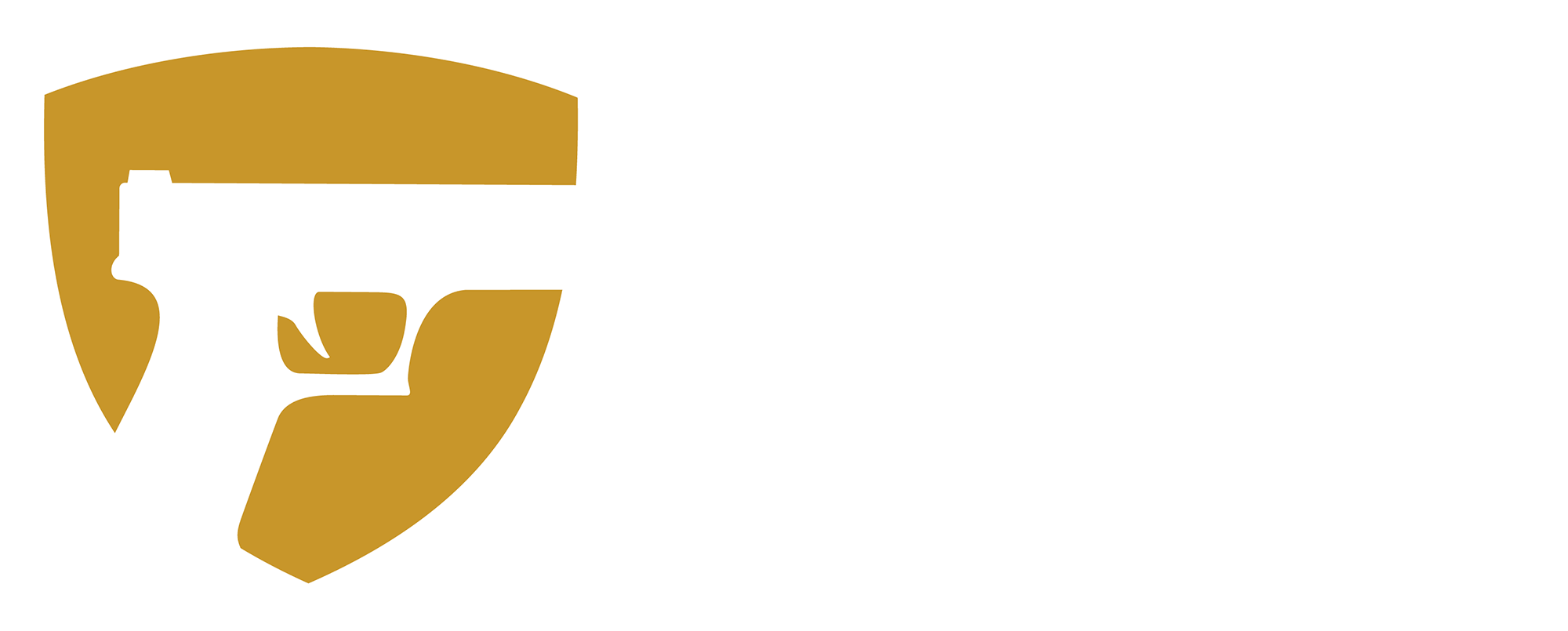 GunVault