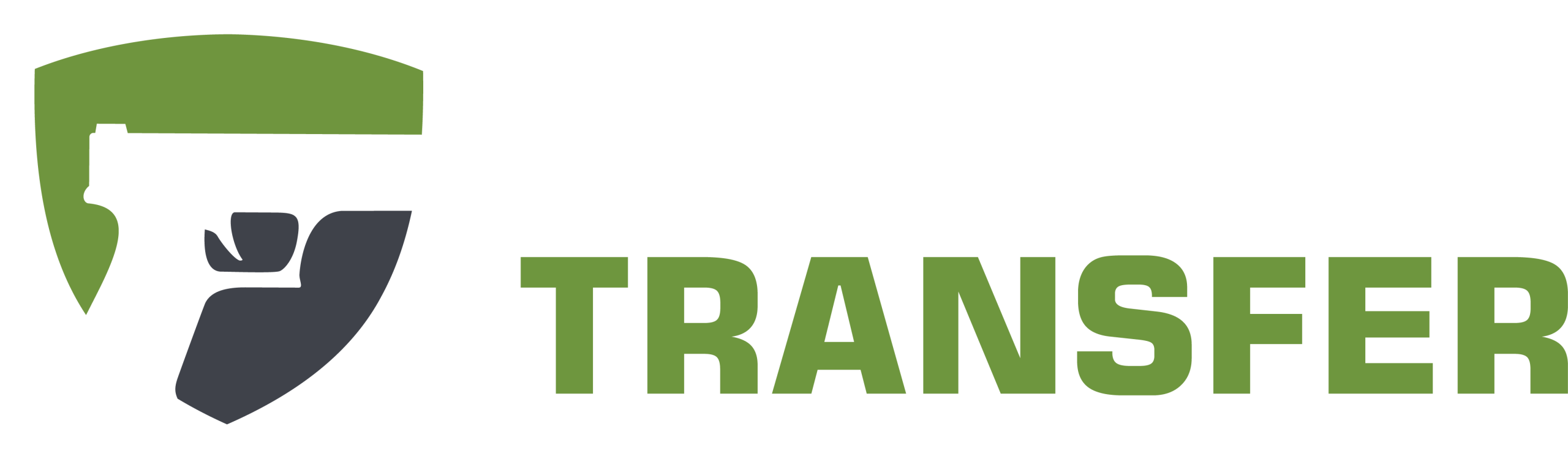 GunTransfer